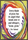 Every blade of grass The Talmud magnet - Heartful Art by Raphaella Vaisseau