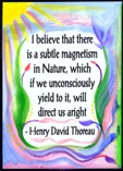 I believe that there is Henry David Thoreau magnet - Heartful Art by Raphaella Vaisseau