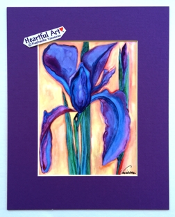 Purple Iris (8x10) print - Heartful Art by Raphaella Vaisseau