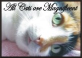 All cats are magnificent magnet - Heartful Art by Raphaella Vaisseau