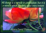 All change is a miracle Henry David Thoreau magnet - Heartful Art by Raphaella Vaisseau