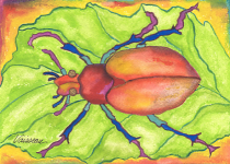 Scarab Beetle - Heartful Art by Raphaella Vaisseau