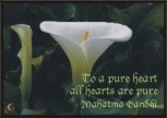 To a pure heart Gandhi magnet - Heartful Art by Raphaella Vaisseau