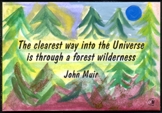 Clearest way John Muir magnet - Heartful Art by Raphaella Vaisseau