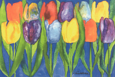 Tulip postcards