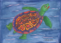 Turtle