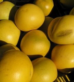 Fruit at the LA Farmers Market